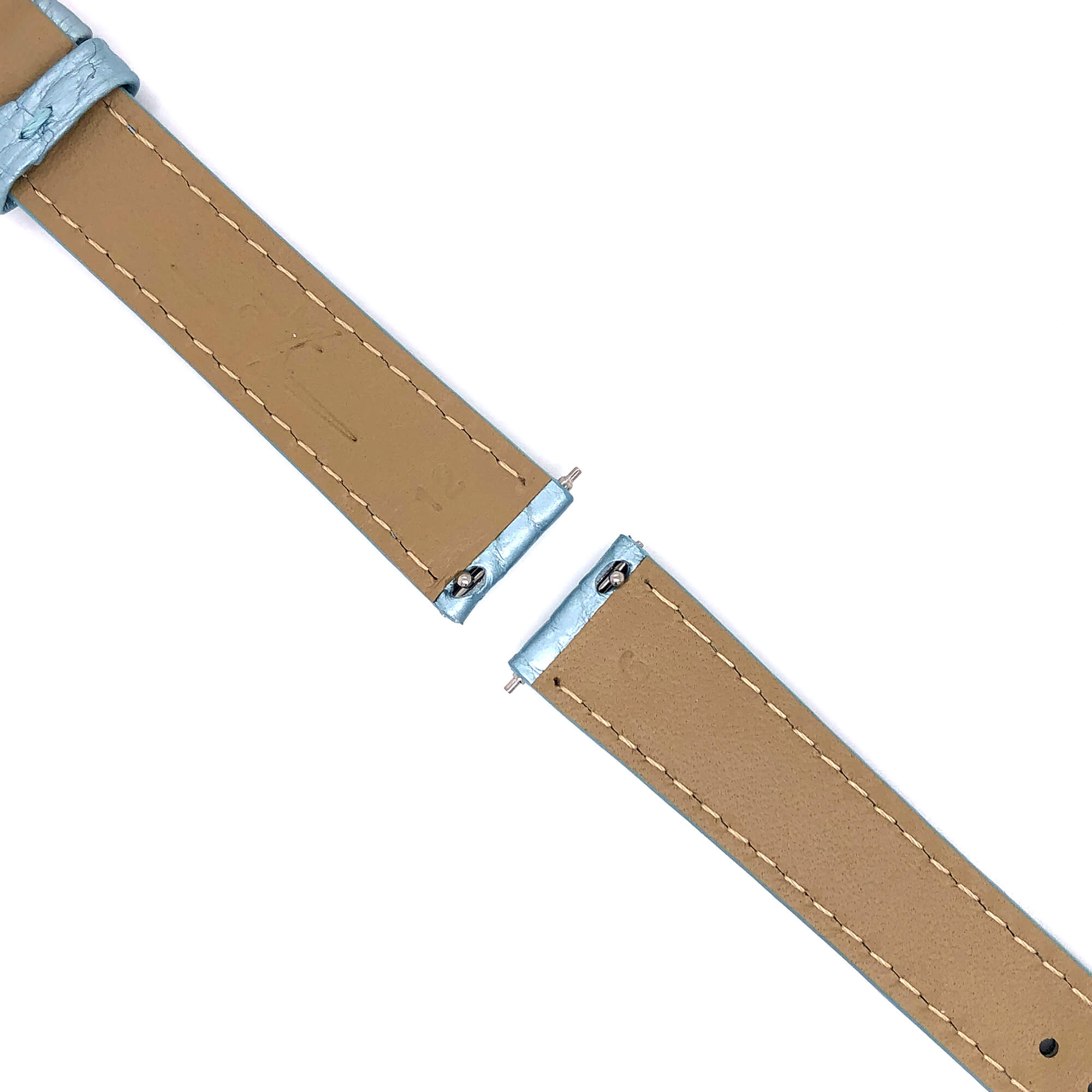 BAND - 16mm Alligator