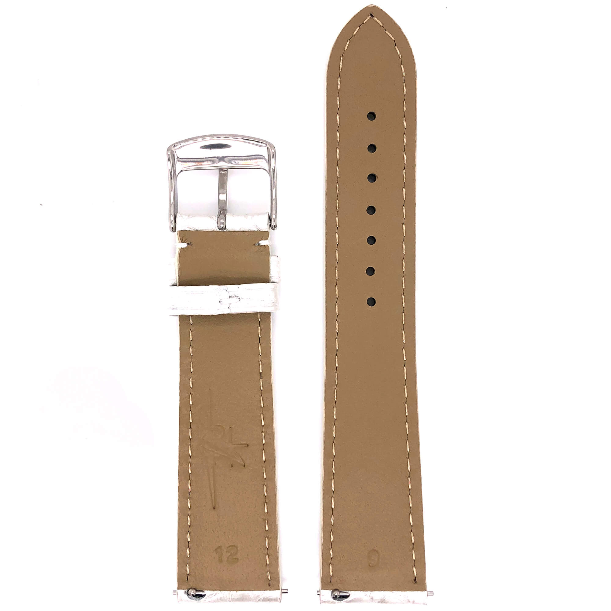 BAND - 20mm Alligator