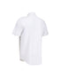 Men's Pilot Shirt (Silver Label Modern Cut)