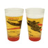 SR-71 Blackbird Pint Glass