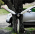 3-Bladed McCauley Mirror High Polished Airplane Propeller Wall Sculpture
