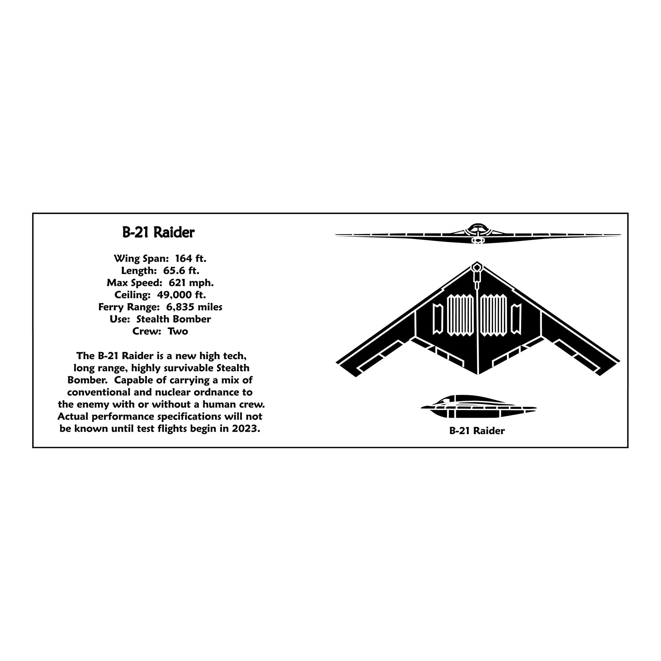 B-21 Raider Spotter Mug