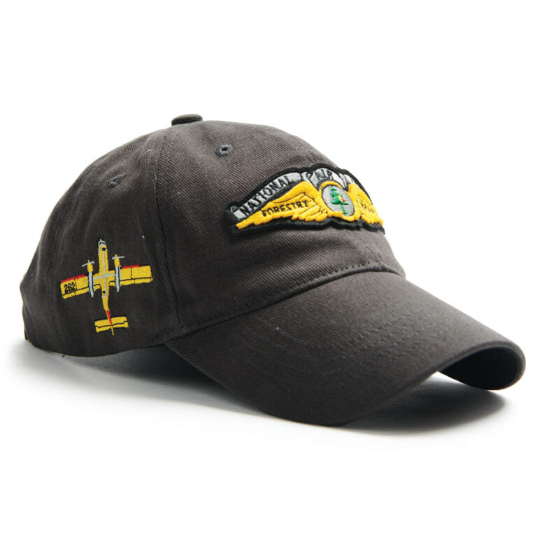 Red Canoe National Air Service Cap