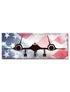 Planes SR-71 American Flag - PSB291