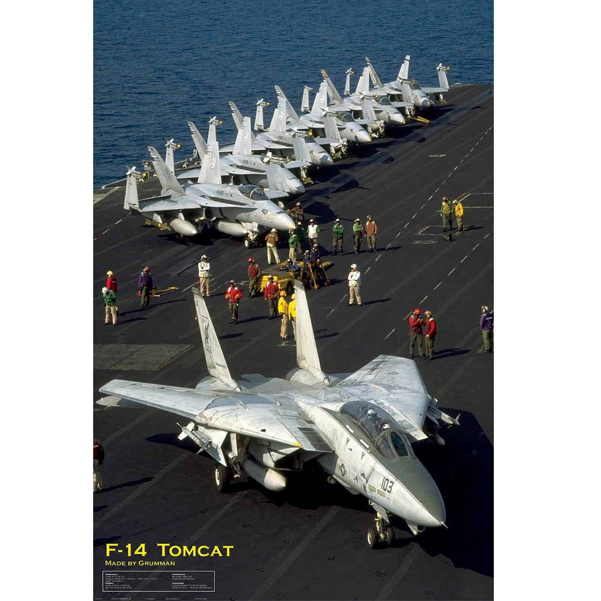 Grumman F-14 Tomcat Poster