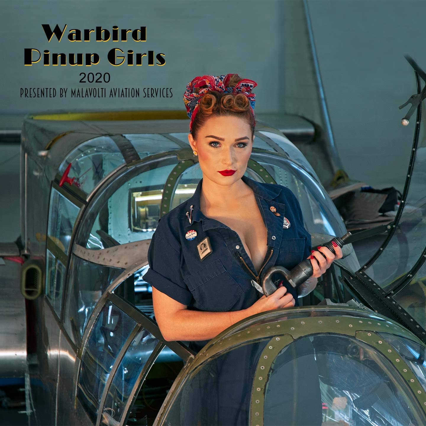 2020 Warbird Pinup Calendar